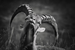 IMG_3163