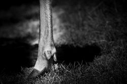 IMG_3259