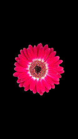 Photoroom_20240423_091112