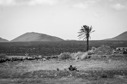 _MG_0909