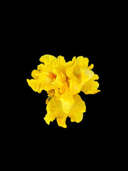 Photoroom_20240415_192842