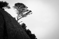 IMG_6555