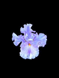 Photoroom_20240415_192819