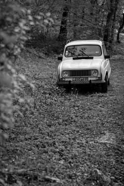 IMG_0070