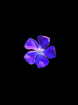 Photoroom_20240415_192630