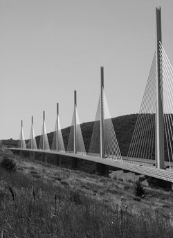 IMG_7544