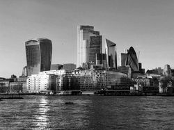 IMG_0482