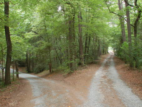 A ROAD LESS TRAVELLED