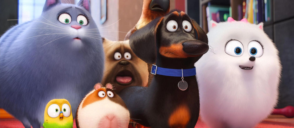 Things To Understand Before Adopting A Pet