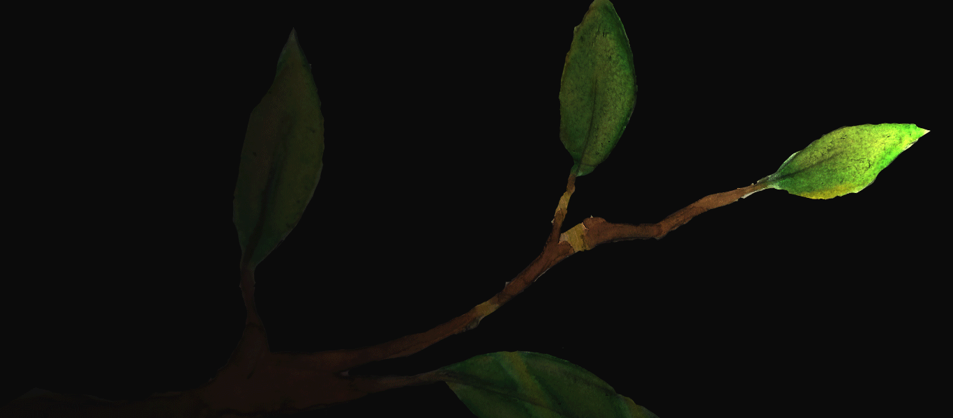 Sin-título-2.gif