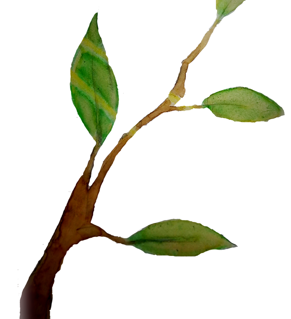 Atrion_edited.png