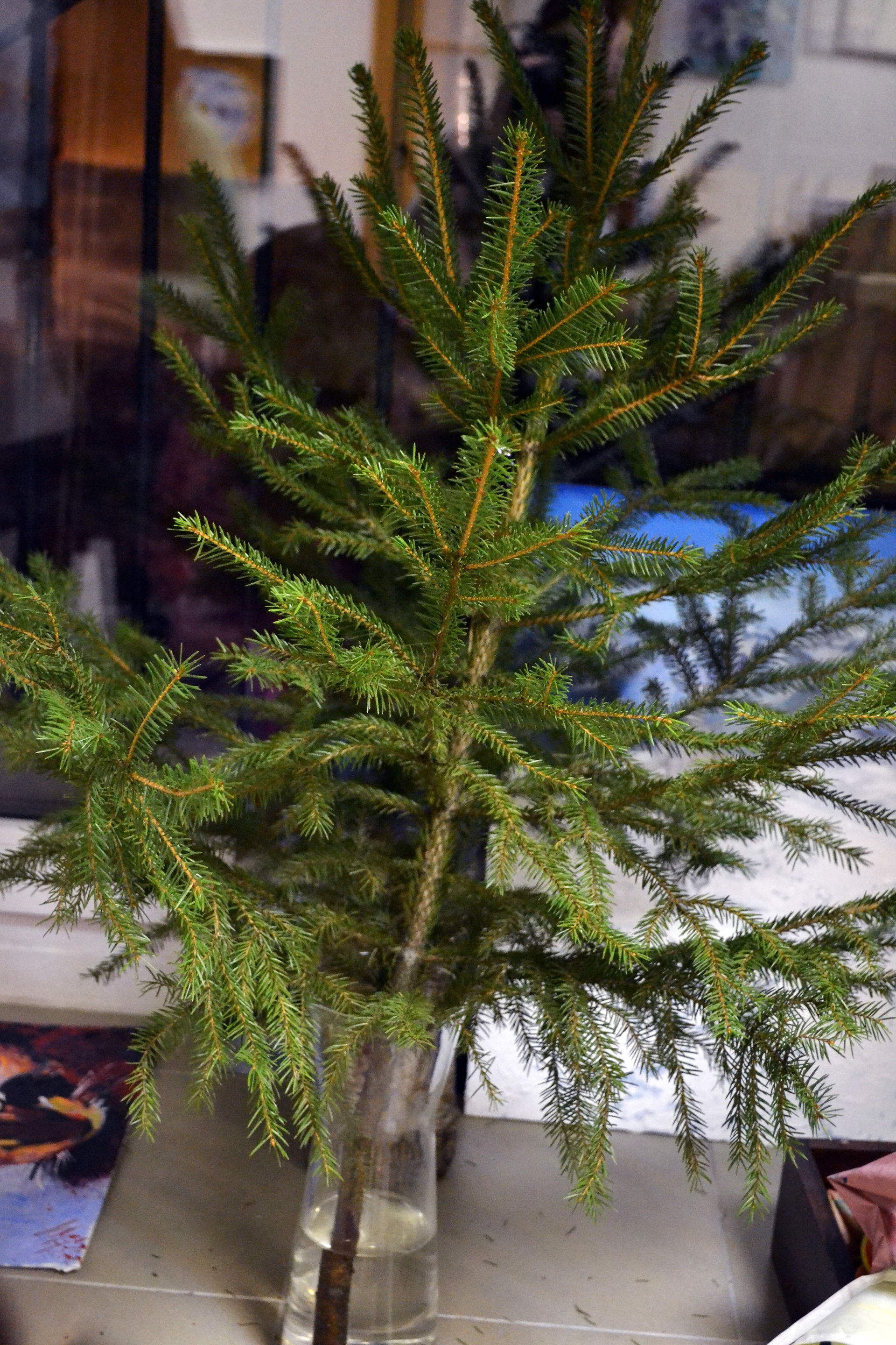 DSC_0038