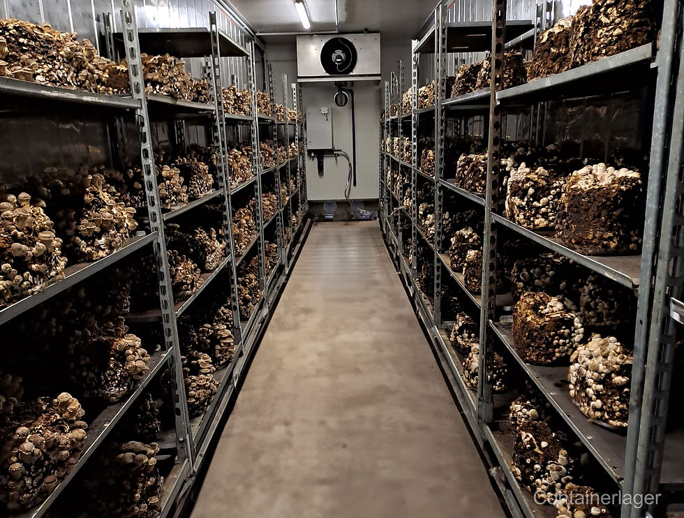 Thumbnail: 40-foot Mushroom Growing Container – Professional Mushroom Farm