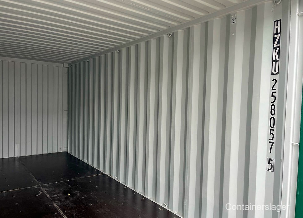 Miniature : Conteneur maritime 20’ IICL neuf – Solution de stockage robuste et conforme