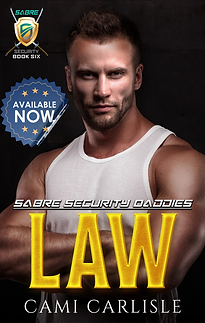 Law Available Now.png