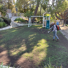 Lawn amending, overseeding.