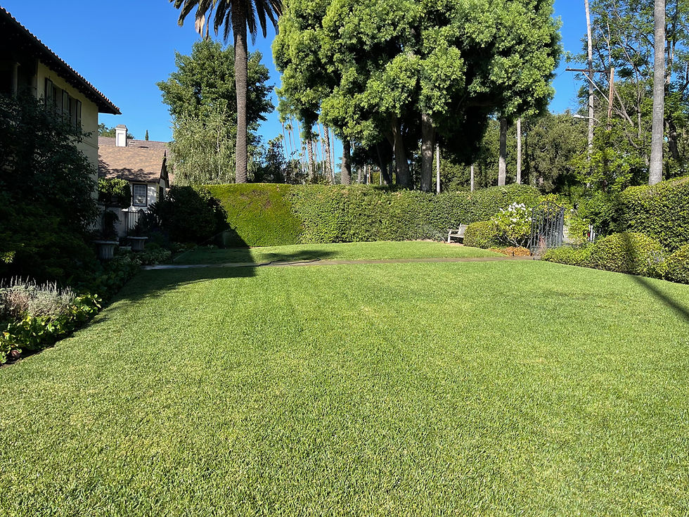 Importance of Compost for Your Lawn in Southern California