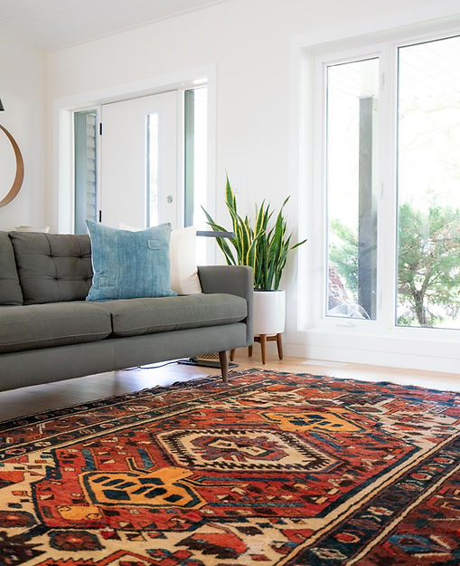 Clean living room carpet Aurora
