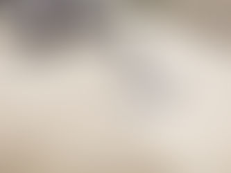 How to Hire a Professional Carpet Cleaner to Spruce Up Your Floors