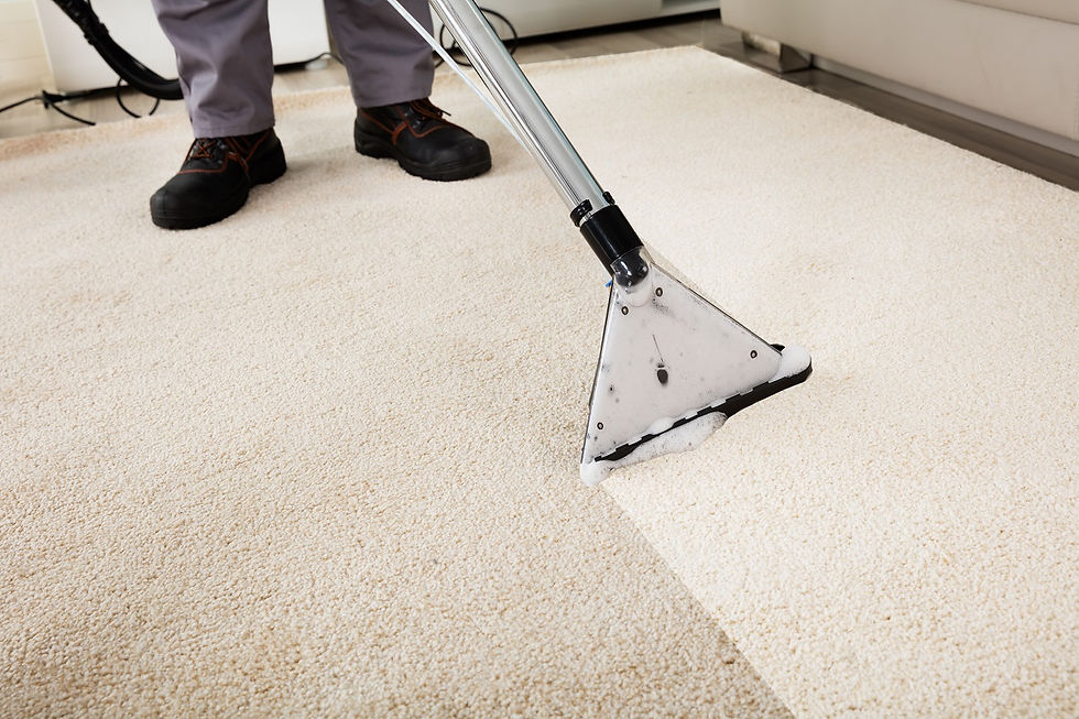 How to Hire a Professional Carpet Cleaner to Spruce Up Your Floors