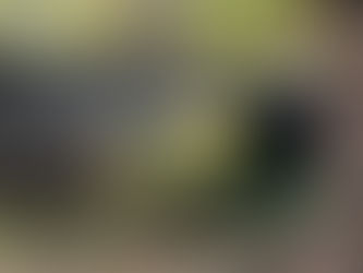 Tag 10 - Sonnenfinsternis im Yosemite