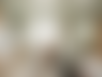 Design vs. Size: Why the “Starter Home” is Being Redefined in 2026