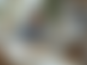 Researcher reviewing historical family documents at a desk while an AI assistant helps analyze genealogy records on a laptop.