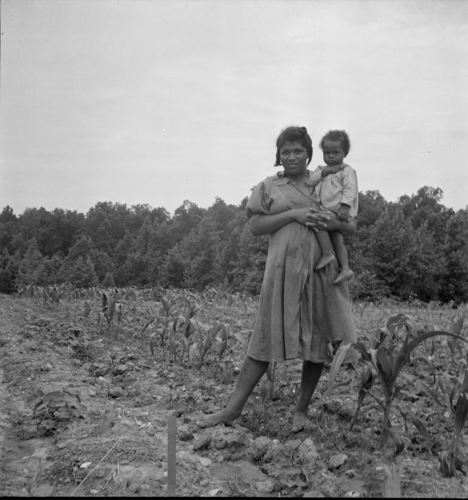 An African American woman sharecropper and baby in field