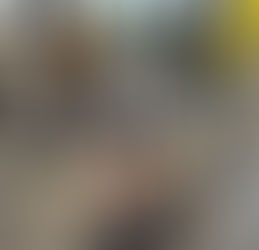 In the shade of the trees