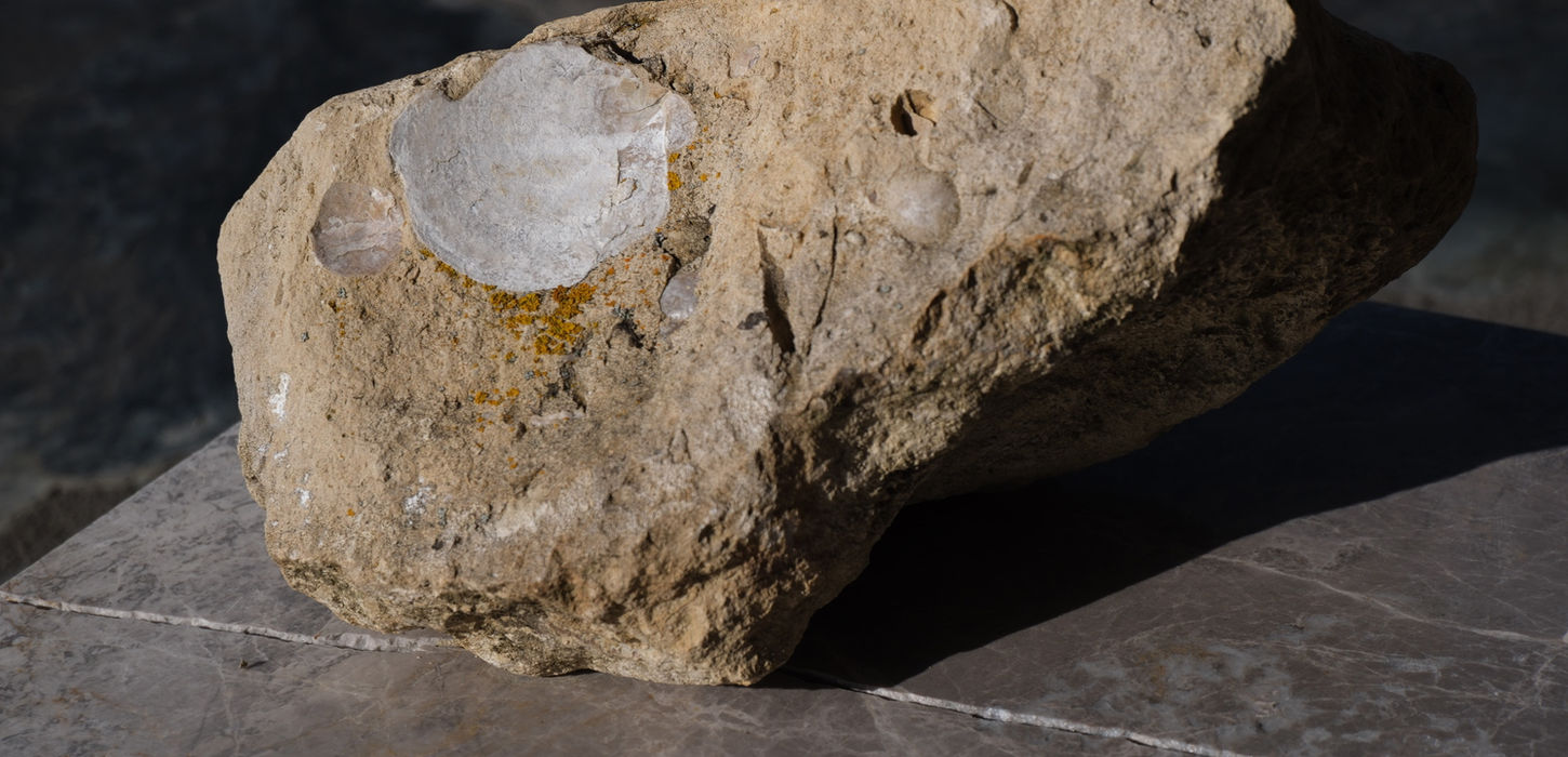 limestone soils clos ostler, clos ostler fine wine, best pinot noir nz, best red wine nz, boutique vineyard, burgundy vineyards nz, best wine in new zealand