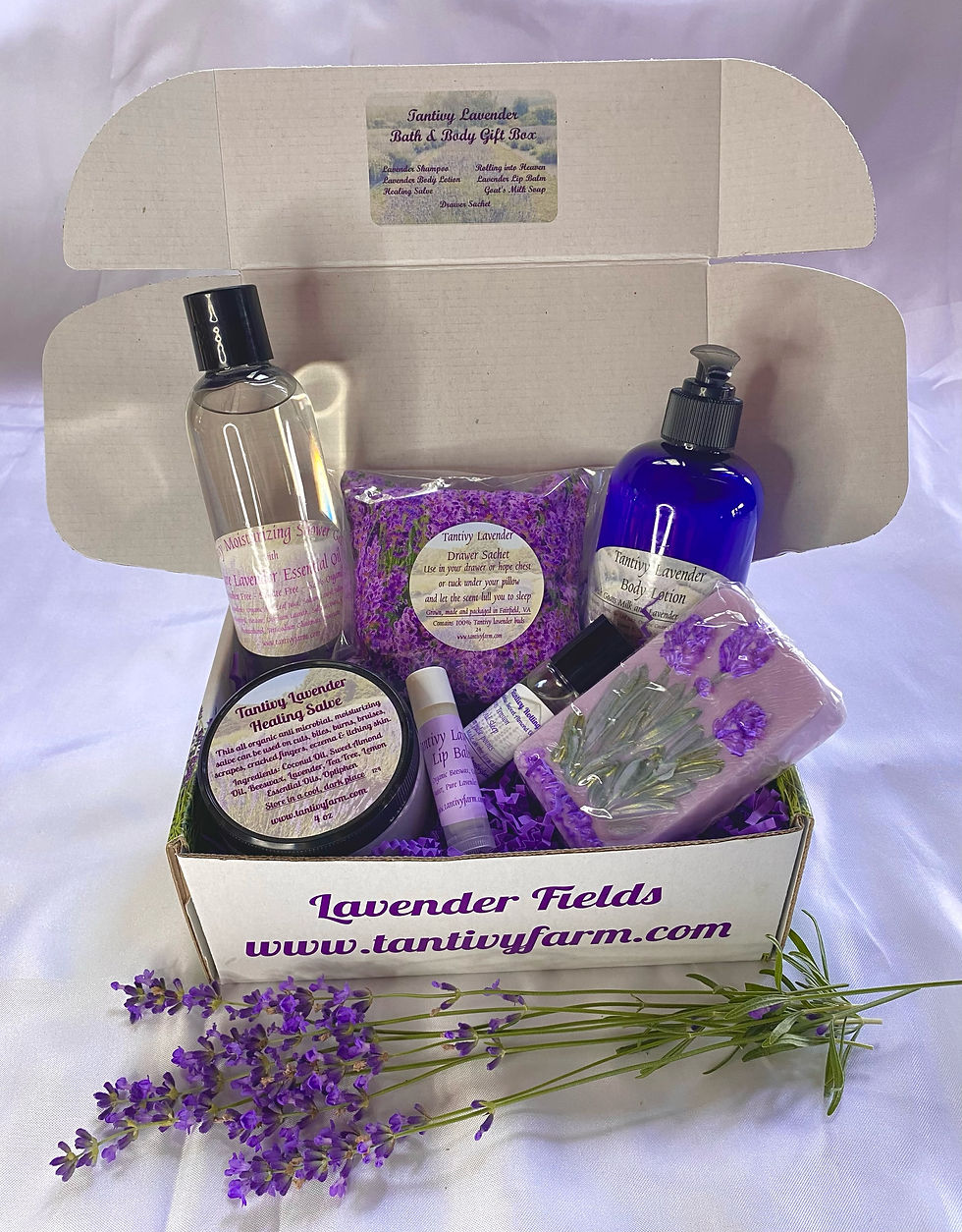 Bath & Body Gift Box