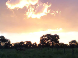 por do sol 7.jpg