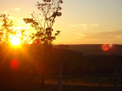 DSC00763.JPG