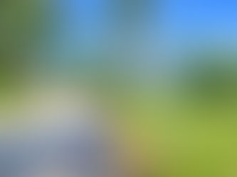 Surpreenda-se: Planeje sua Viagem com Facilidade pelo Nosso Site e Conheça o Vale do Café