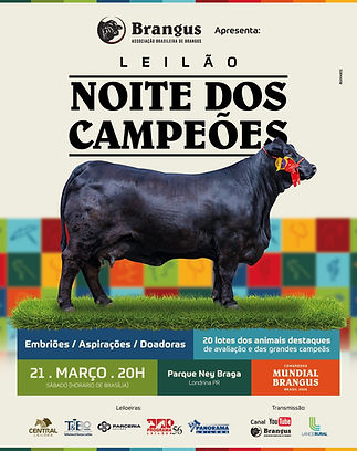 noite dos campeoes.jpeg