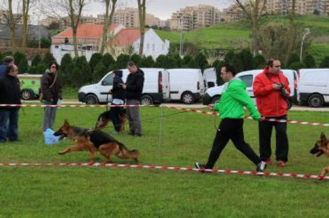 Valkyria de Vulpos Velox