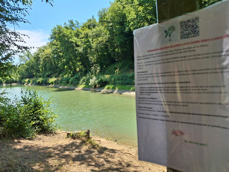 Projet Colibris : préserver les jeunes arbres pour demain