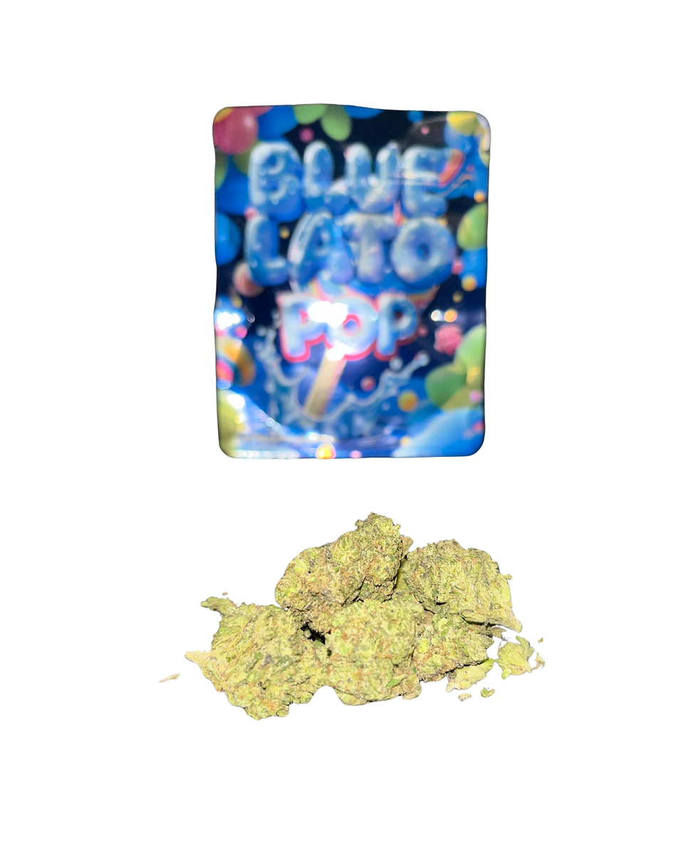 Thumbnail: Red Tier — Light-Assisted /Value Indoor