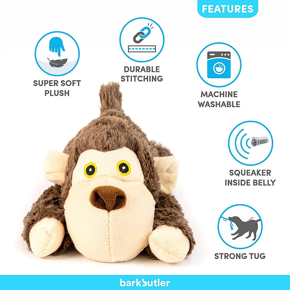 Thumbnail: Barkbutler Boh the Bear Soft Squeaky Plush Dog Toy