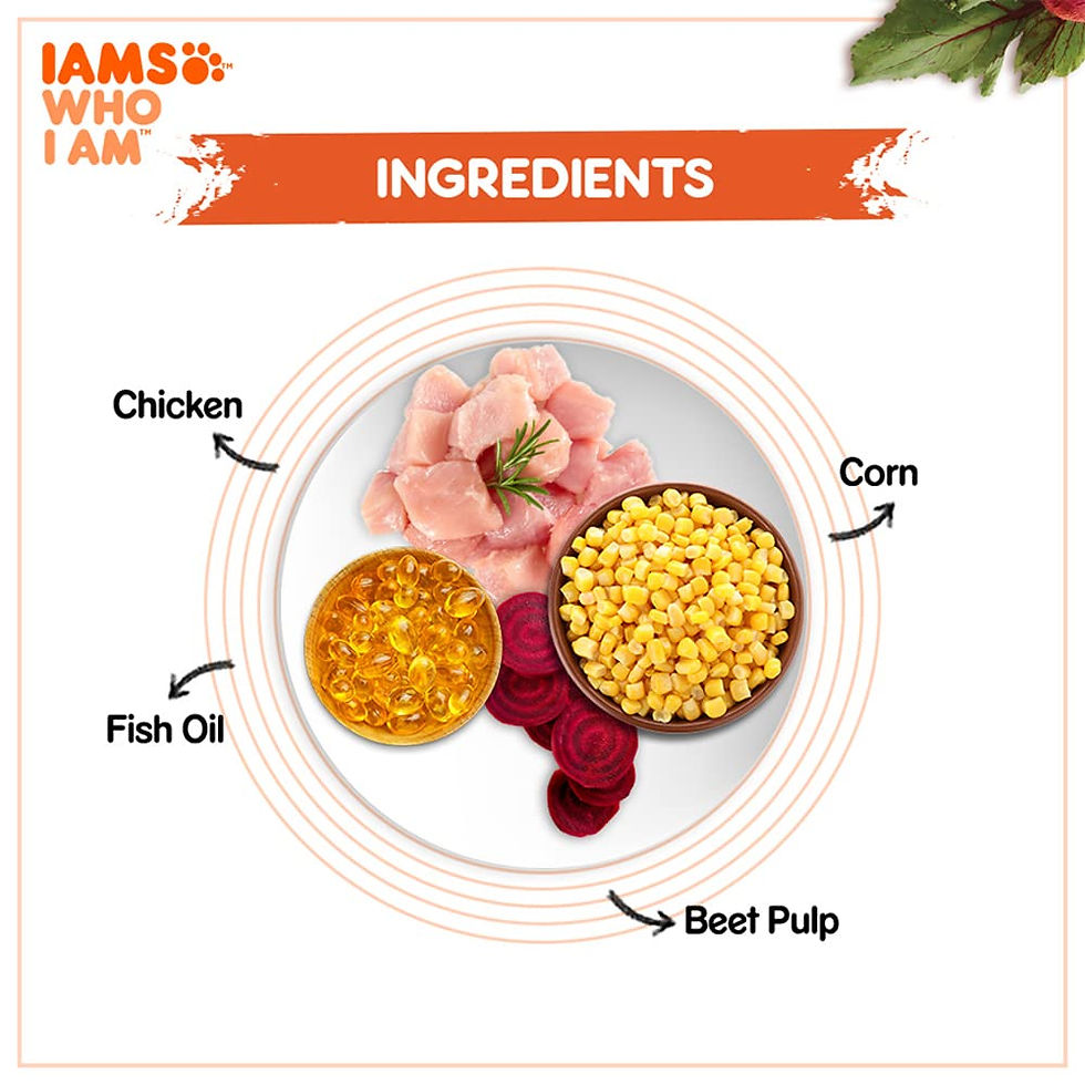 Thumbnail: IAMS Proactive Health Adult Cat Food Tuna & Salmon Meal