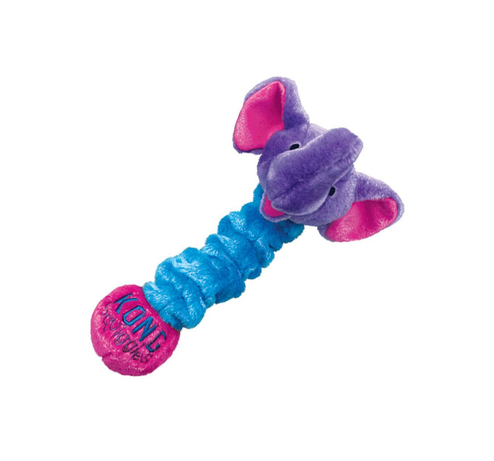 Kong Squiggles Dog Toy - Medium