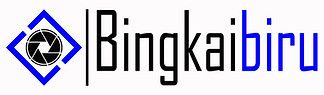 anyar BINGKAI BIRU PRO KOTAK.jpg