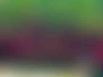 Graduation 2025 class