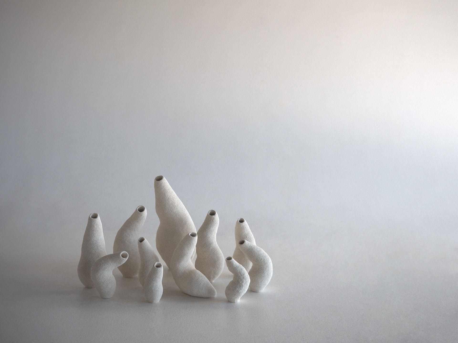 Caitlin Lang Anthropocene