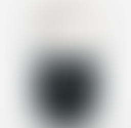 WMK-HS308. 2MP / x30 / IR PTZ