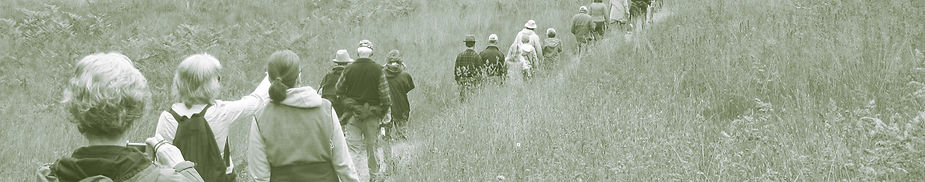Evans Creek Hike.jpg