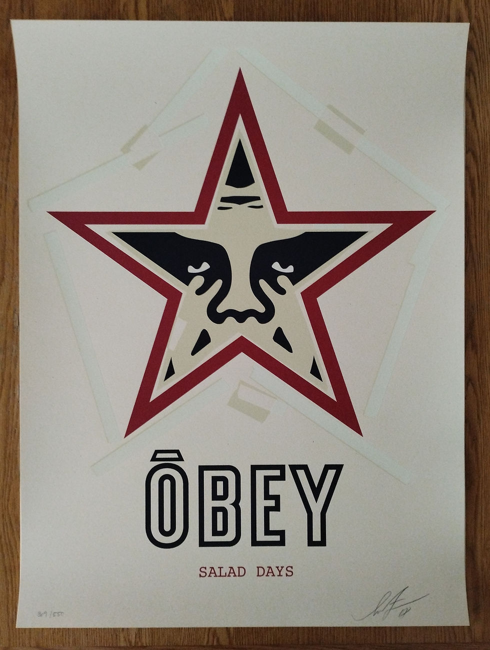 Miniature : Salad Days 2018 Shepard Fairey Obey