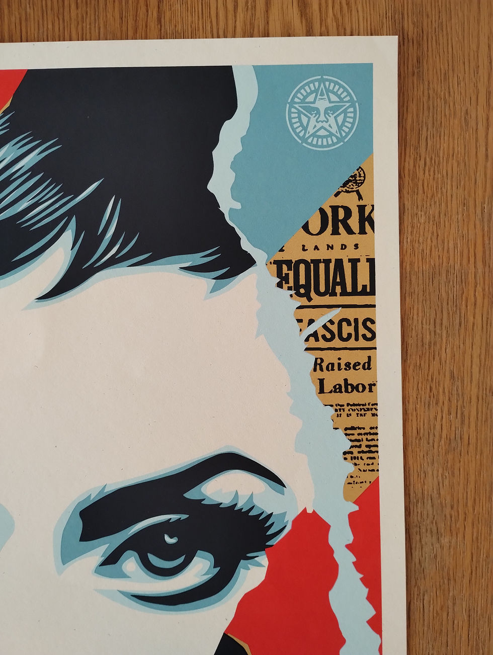 Miniaturbild: Ideal Power 2017 Shepard Fairey Obey