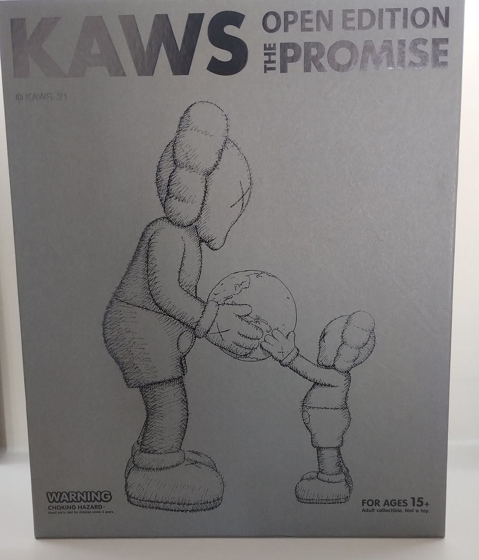 Миниатюра: KAWS THE PROMISE - Brown 2022