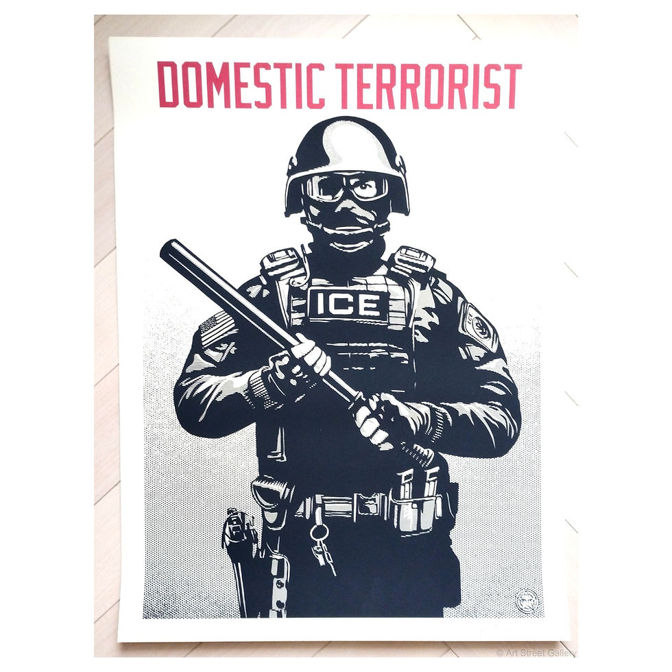 Miniature : shepard-fairey-projection-mirror-domestic-terrorist-2026